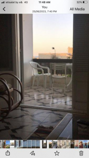 الميرغني مصر الجديده